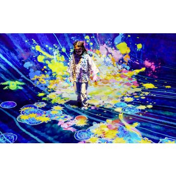 teamLab Phenomena Abu Dhabi Tickets